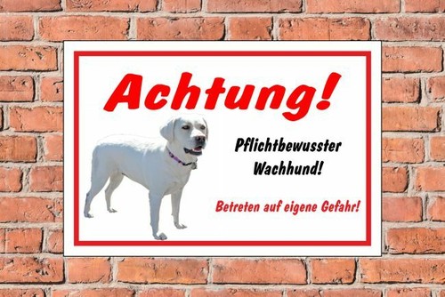 Schild hund labrador - schild,