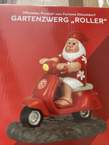 Fortuna düsseldorf - fortuna,