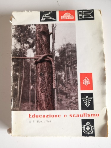 Bildung und pfadfinder - bildung,