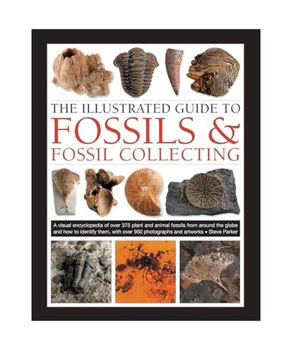 Fossils fossil collecting - &,