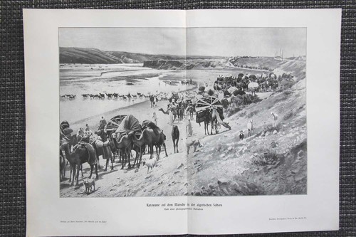 Karawane auf dem marsch - karawane,