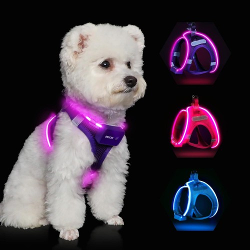 Leuchtend hundegeschirr led - hundegeschirr,