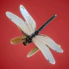 Hutschenreuther Libelle Insekt