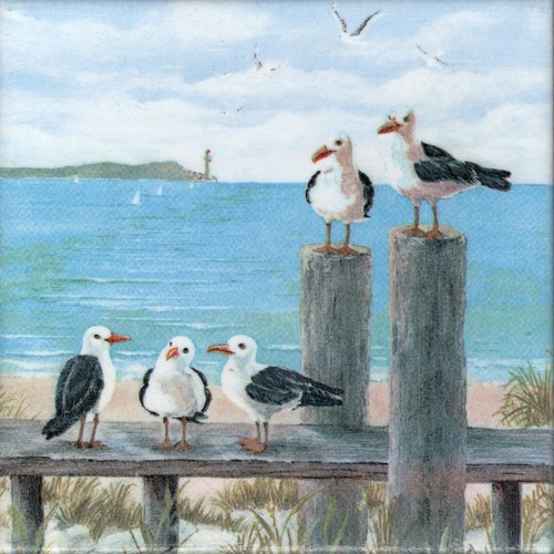 Dekobild möwen meer maritim - 1,