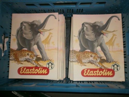 Konvolut 100 hausser elastolin - hausser,