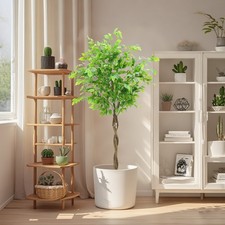 Künstlicher ficusbaum groß - künstlicher,