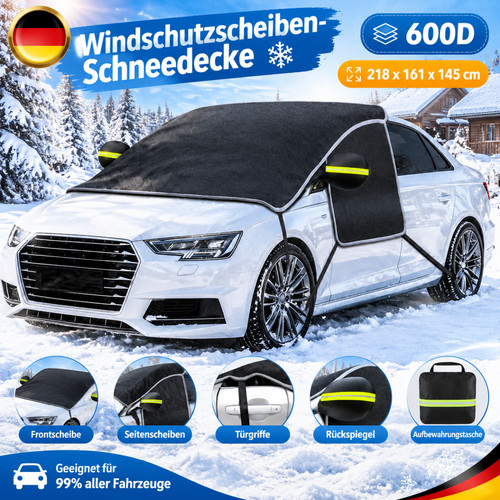 Auto-Windschutzscheiben-Schnee