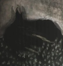 Mytrip & Evitceles Protective