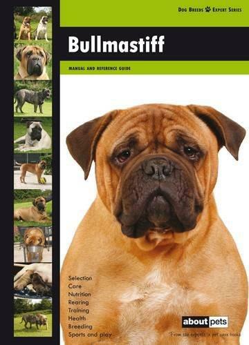 Bullmastiff dog breed expert - breed,