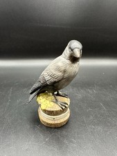 Porzellanfigur Goebel Dohle naturgetreu Vogel des Jahres 2012