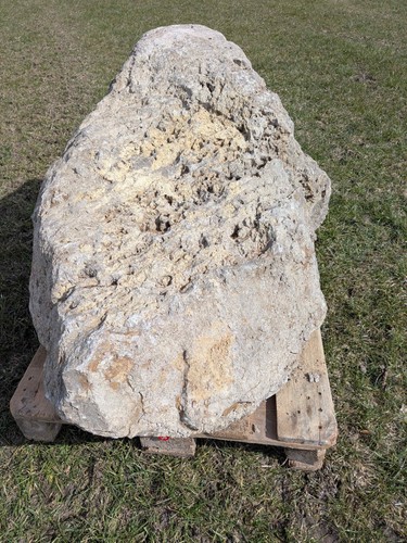 Muschelkalk felsen lbh ca - muschelkalk,