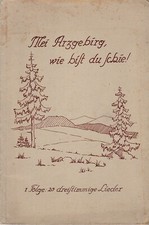 Mei Arzgebirg, wie bist du