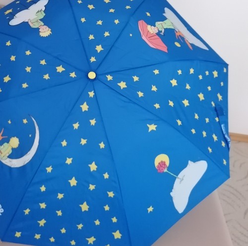 Der kleine prinz regenschirm - der,