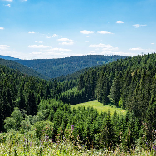 Thüringer wald eisfeld - thüringer,