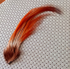 Hutfeder - ca. 20 cm lang