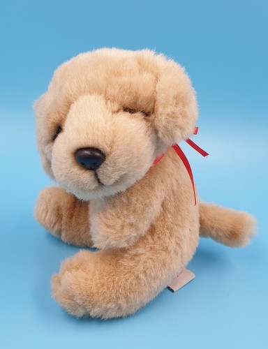 Hund beige sitzend semo - hund,