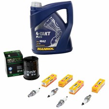 Öl Inspektion Set 4L