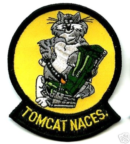 Usn tomcat jet - tomcat,