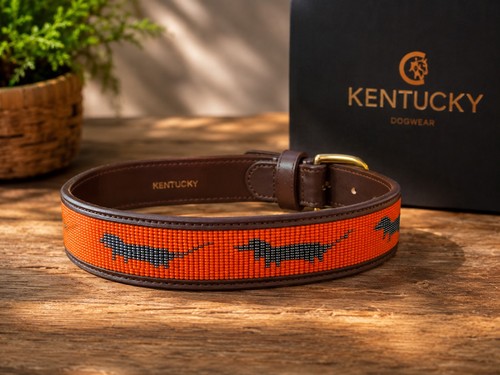 Kentucky hundehalsband leder - kentucky,