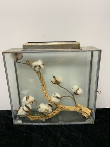 Terrarium