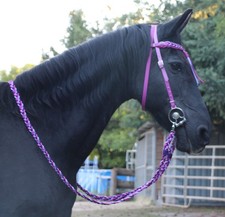 Wunderschöne Showtrense