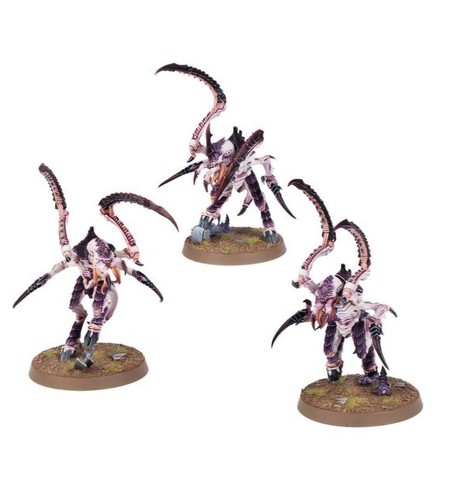 Tyraniden