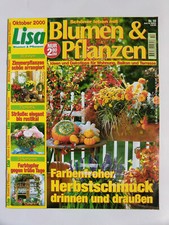 Lisa Blumen & Pflanzen Oktober 2000  10/2000  Sträuße Zimmerpflanzen Usambaravei