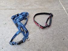 Geschirr Halsband Kombi, Set 2