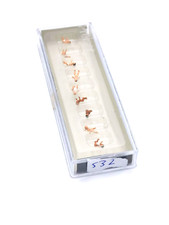 Preiser 10529 H0 1:87