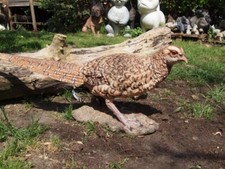 Fasan Deko Figur weiblich