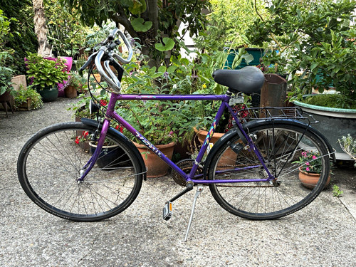Prophete trekkingrad zoll - trekkingrad, 28