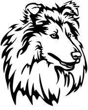 COLLIE Aufkleber -