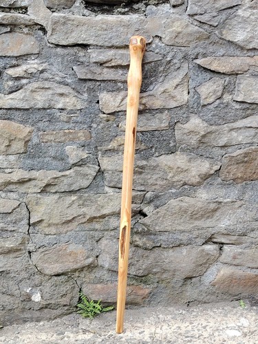 Welsh sweet chestnut - welsh,