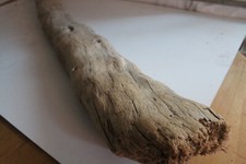 Schwemmholz Treibholz