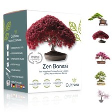 CULTIVEA® Bonsai-Anzucht-Set – Öko-Kit: Bonsai ziehen, dekorieren & verschenken