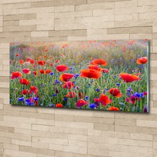 Glas-Bild Wandbilder Druck auf