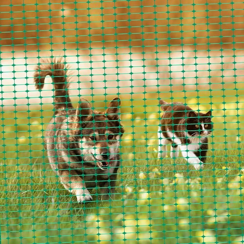 Zaun gartenzaun kunststoffzaun - gartenzaun,