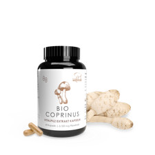 Pilze Wohlrab | Coprinus BIO