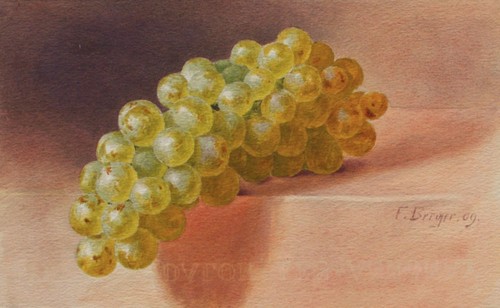 Fritz berger aquarell - berger,