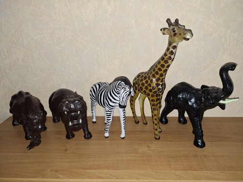 Afrika wildtiere - afrika,