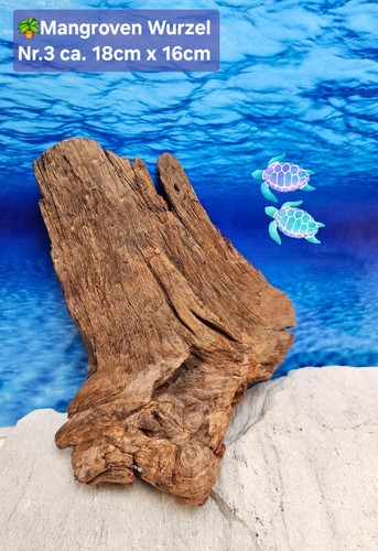 Mangroven aquarium - 🌴,
