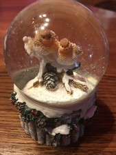 Schüttelkugel Vogelpaar auf