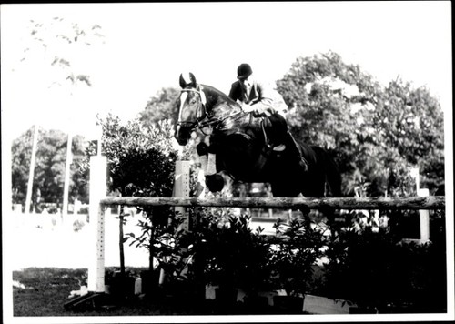 Foto springreiten sprung - foto, ak