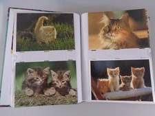 ca. 200 Ansichtskarten Katzen