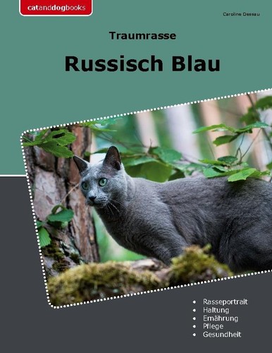 Traumrasse russisch blau - russisch,