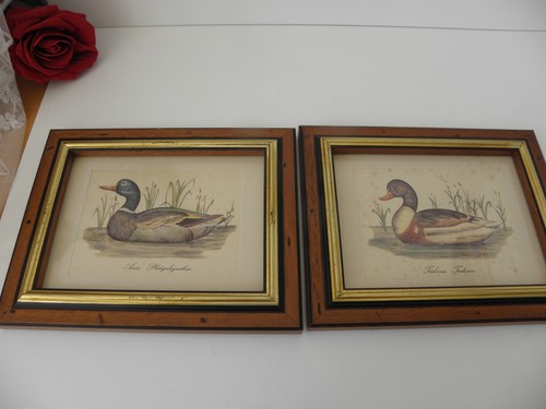 Bilder enten holzrahmen mit - 2,