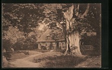 Ansichtskarte Bispingen, Pfarrhaus 1915 