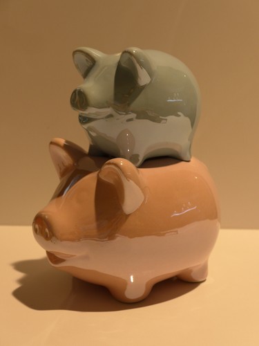 Spardose sparschwein schwein - spardose,