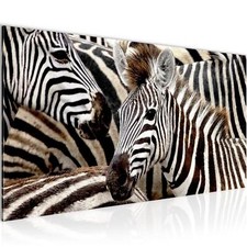 Wandbild Afrika Zebra Bild