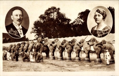 Zirkus krone elefanten - zirkus,